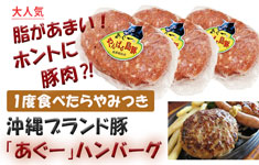 オススメ商品「あぐーハンバーグ」